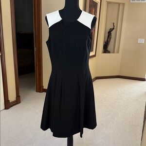 White House Black Market Fully Lined Sleeveless Dress
